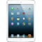 ipad mini